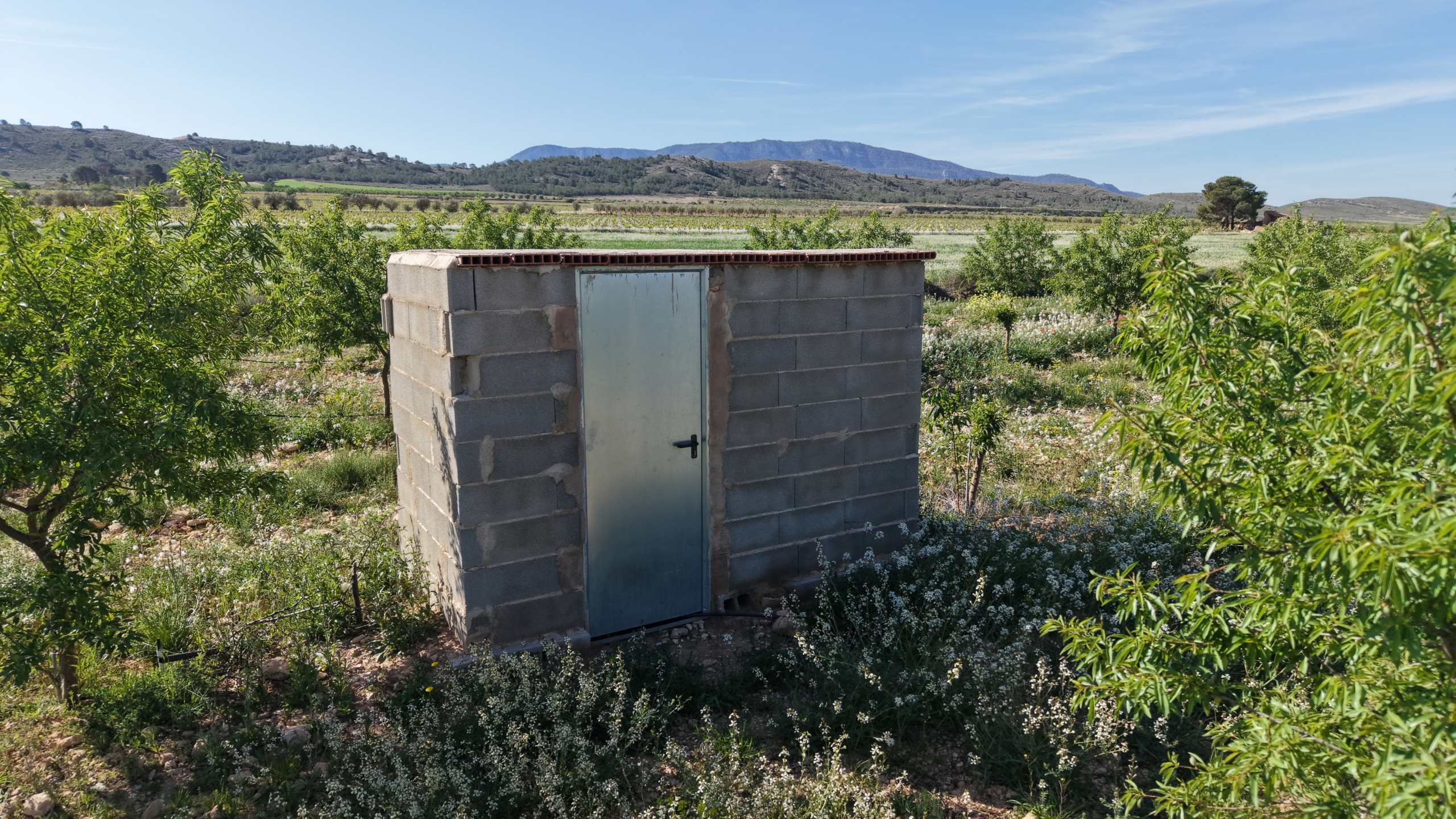 default Land te koop in Spanje: Bouwperceel van 21.625 m² met amandelbomen in Yecla (Murcia)