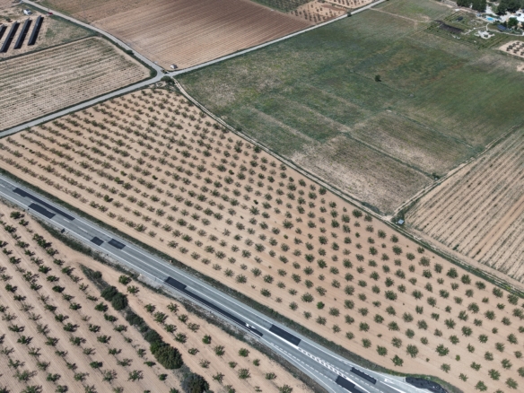 Bouwperceel te koop tussen Yecla & Pinoso: 38.802 m² met amandelbomen