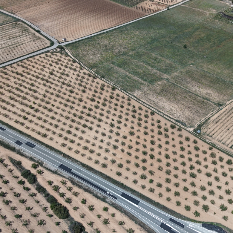 Bouwperceel te koop tussen Yecla & Pinoso: 38.802 m² met amandelbomen