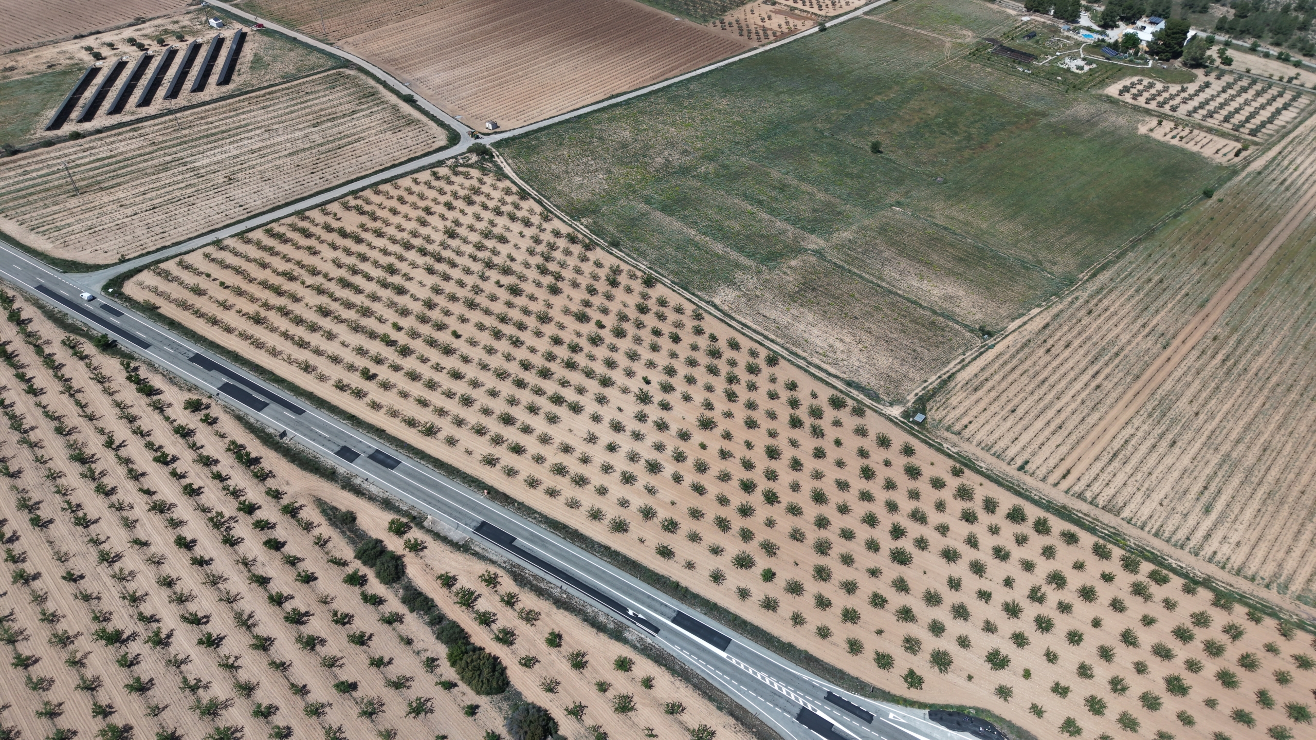 Bouwperceel te koop tussen Yecla & Pinoso: 38.802 m² met amandelbomen