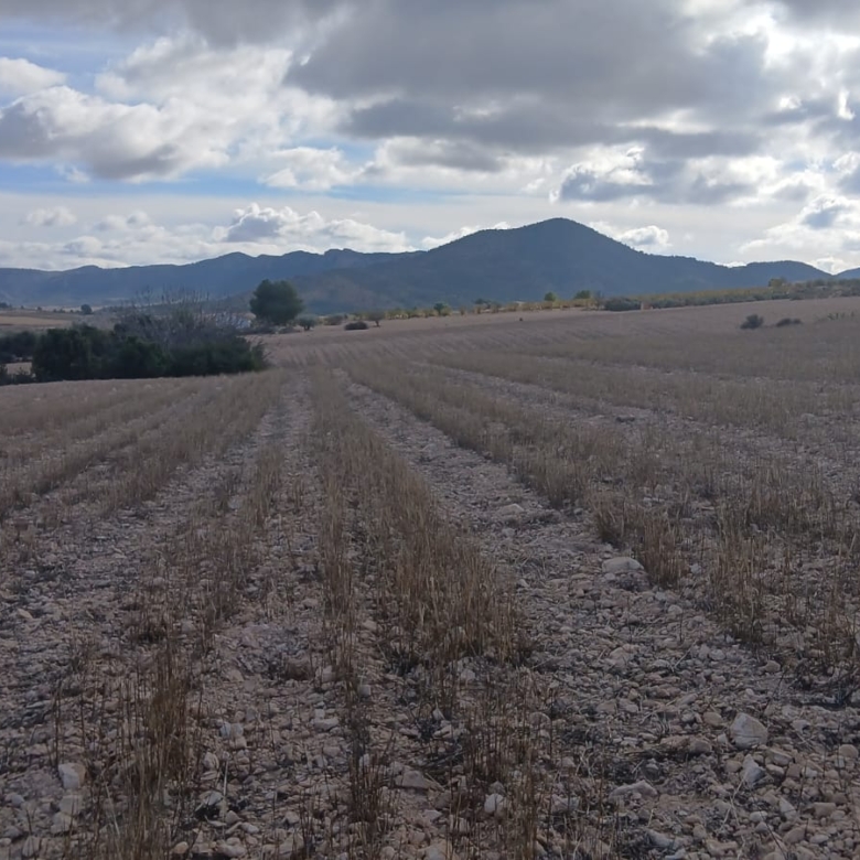 Unieke Investeringskans: Gigantisch Bouwperceel te Koop in Yecla (Murcia)