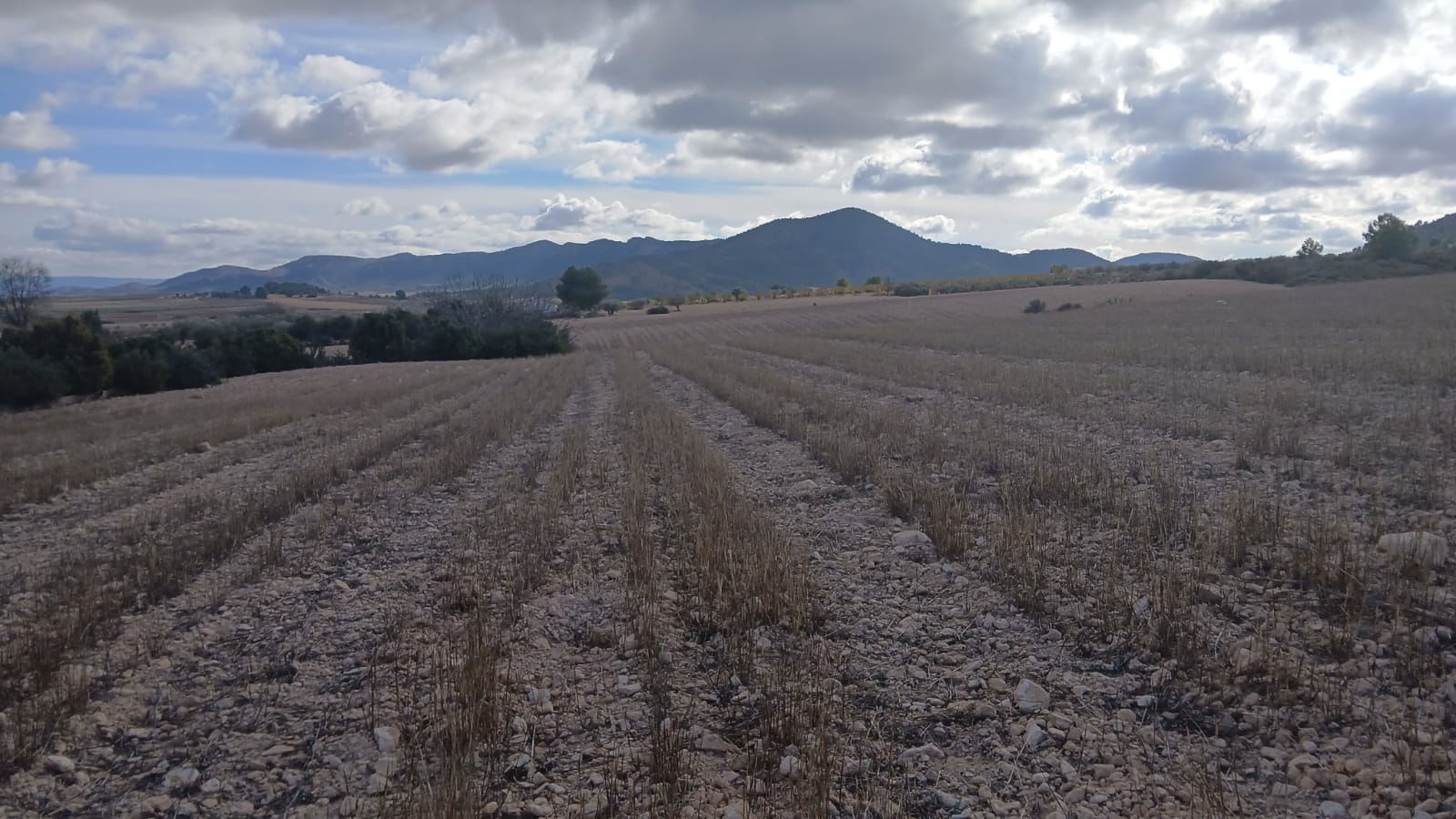 Unieke Investeringskans: Gigantisch Bouwperceel te Koop in Yecla (Murcia)