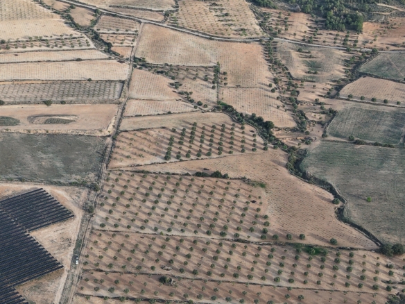 Groot Bouwperceel met Olijfgaard (15 ha) te Koop in Jumilla, Murcia