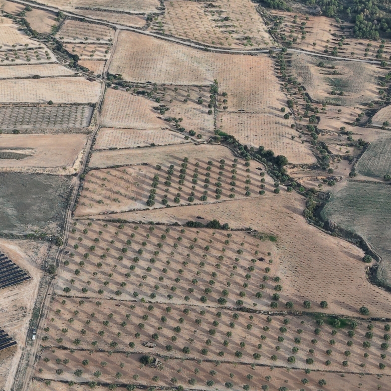 Groot Bouwperceel met Olijfgaard (15 ha) te Koop in Jumilla, Murcia