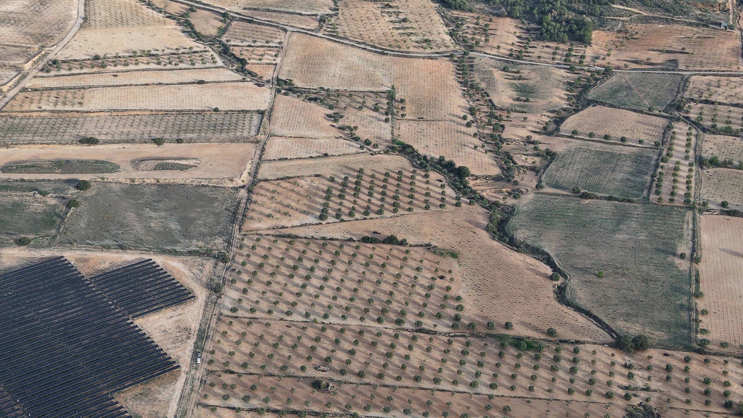 Groot Bouwperceel met Olijfgaard (15 ha) te Koop in Jumilla, Murcia