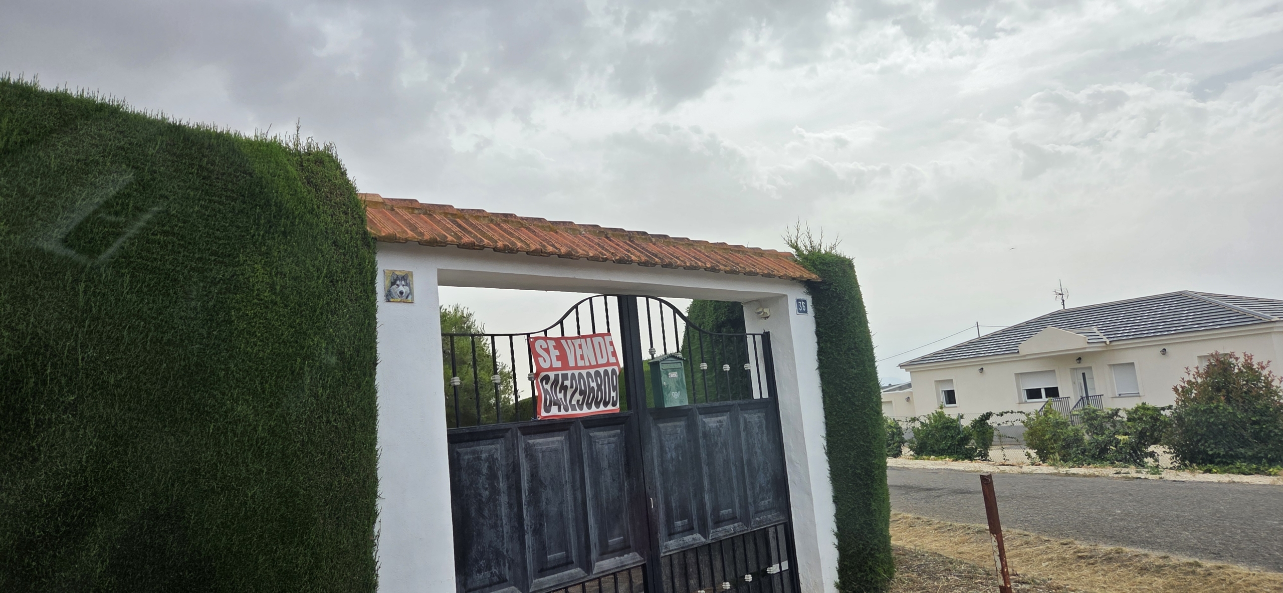 Prachtige en royale plattelandswoning met zwembad en olijfgaard – Nabij Pinoso