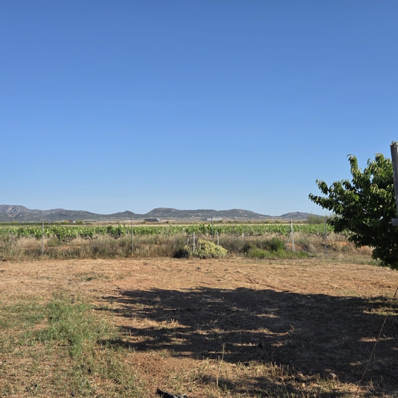 Landelijk vastgoed met loodsen op een groot grondstuk in Yecla, Murcia