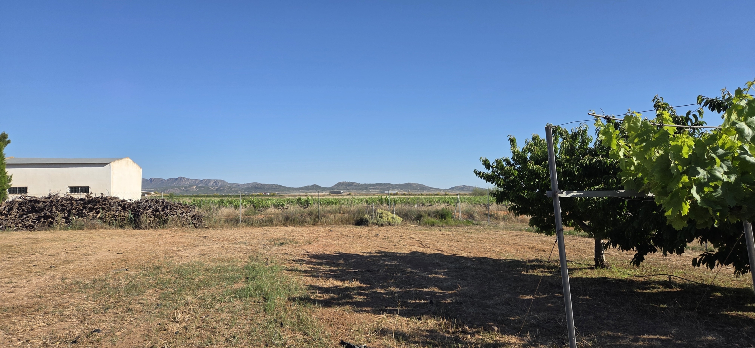 Landelijk vastgoed met loodsen op een groot grondstuk in Yecla, Murcia