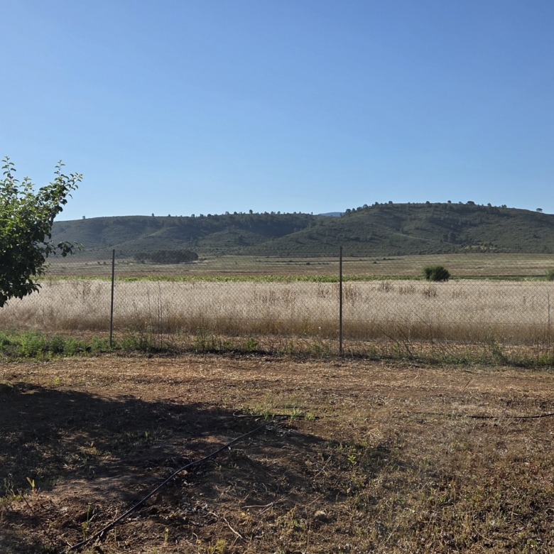 Landelijk vastgoed met loodsen op een groot grondstuk in Yecla, Murcia