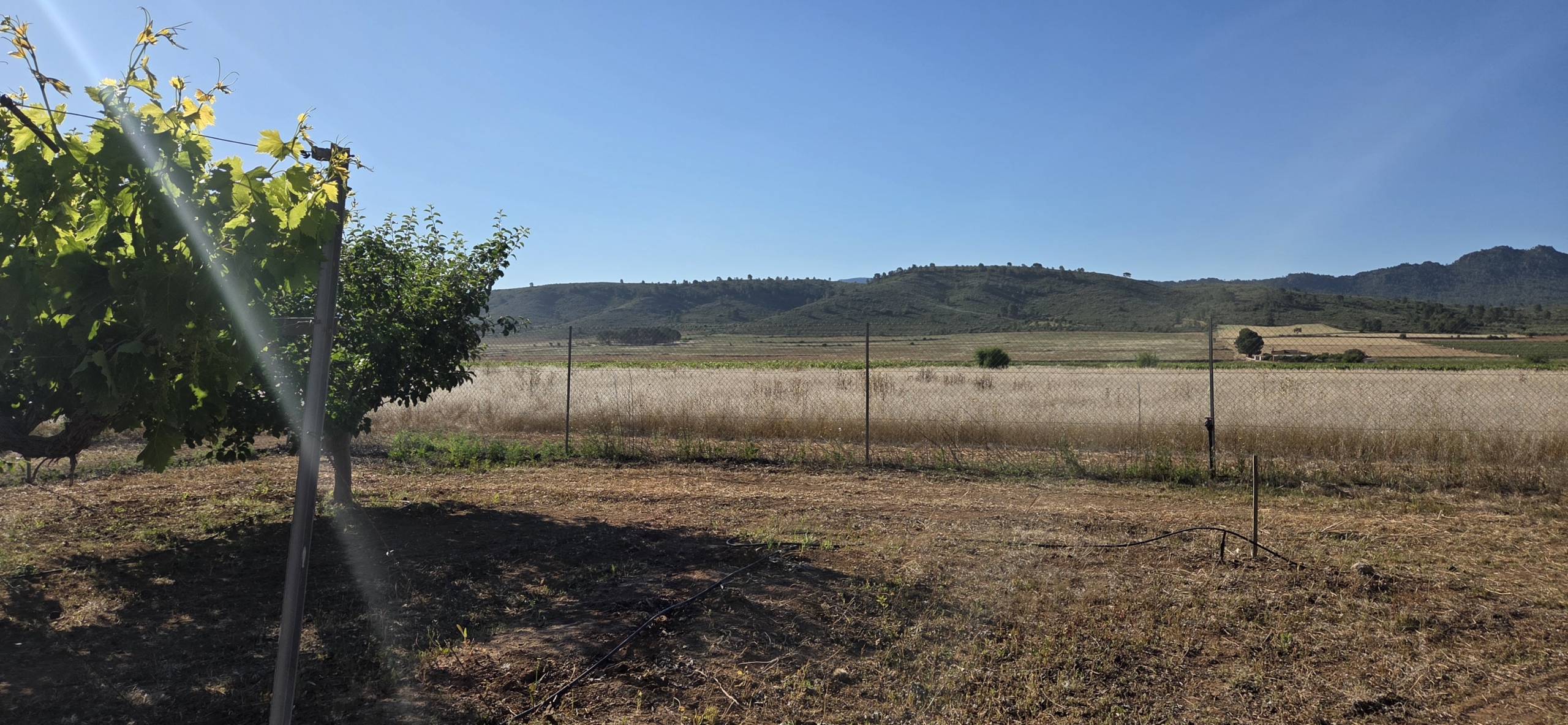 Landelijk vastgoed met loodsen op een groot grondstuk in Yecla, Murcia