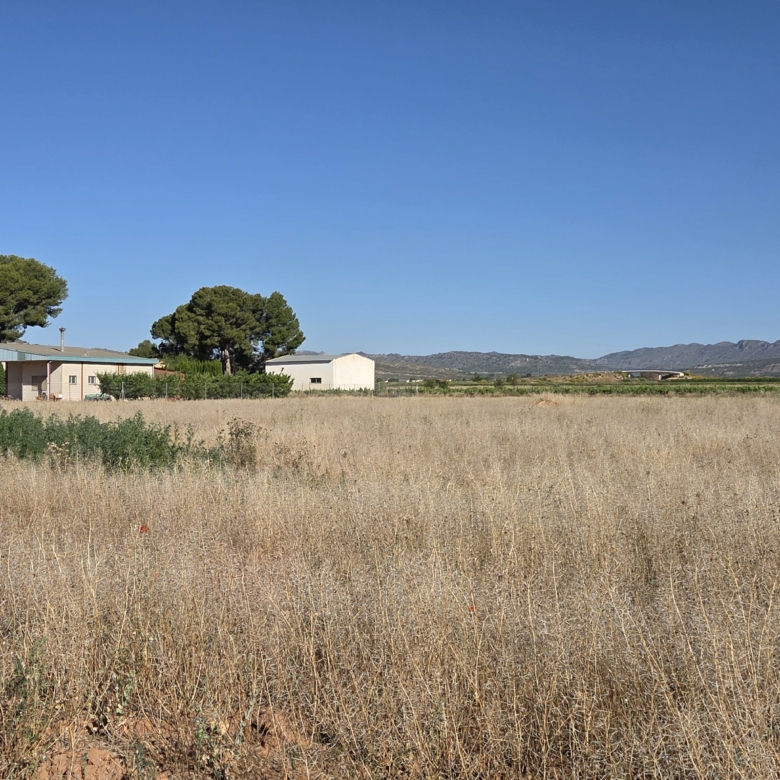 Landelijk vastgoed met loodsen op een groot grondstuk in Yecla, Murcia