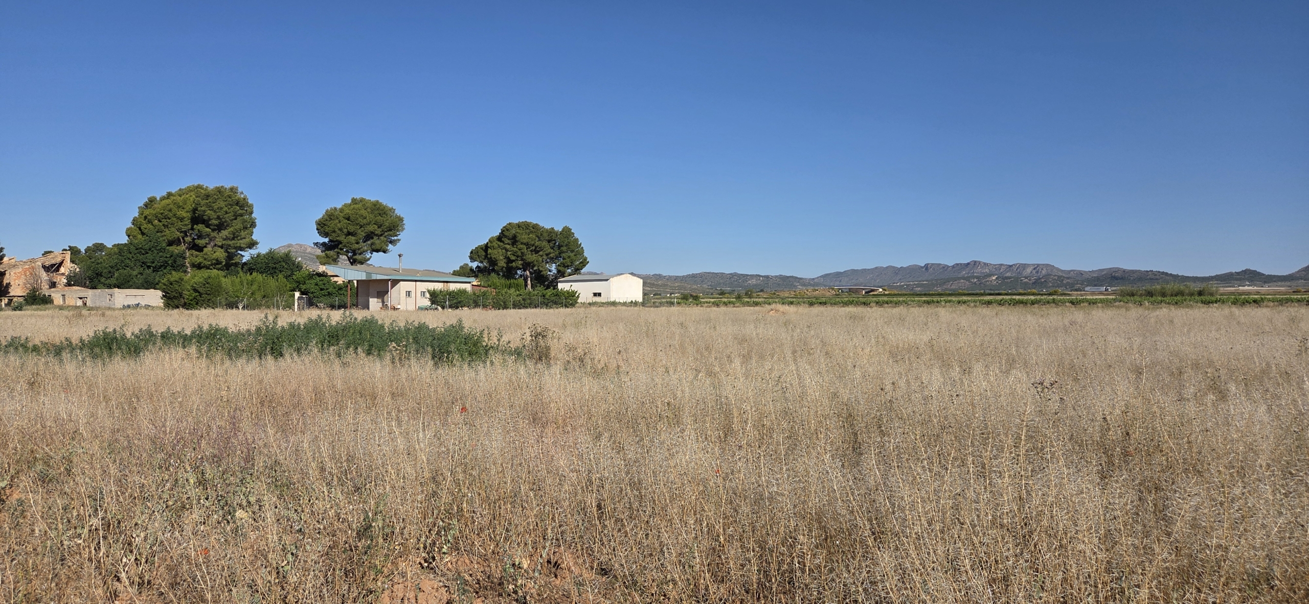 Landelijk vastgoed met loodsen op een groot grondstuk in Yecla, Murcia