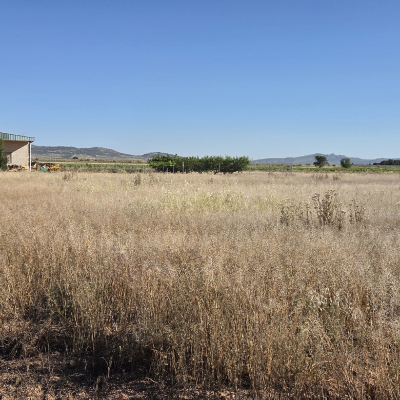 Landelijk vastgoed met loodsen op een groot grondstuk in Yecla, Murcia
