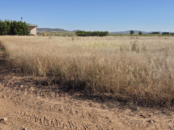 Landelijk vastgoed met loodsen op een groot grondstuk in Yecla, Murcia