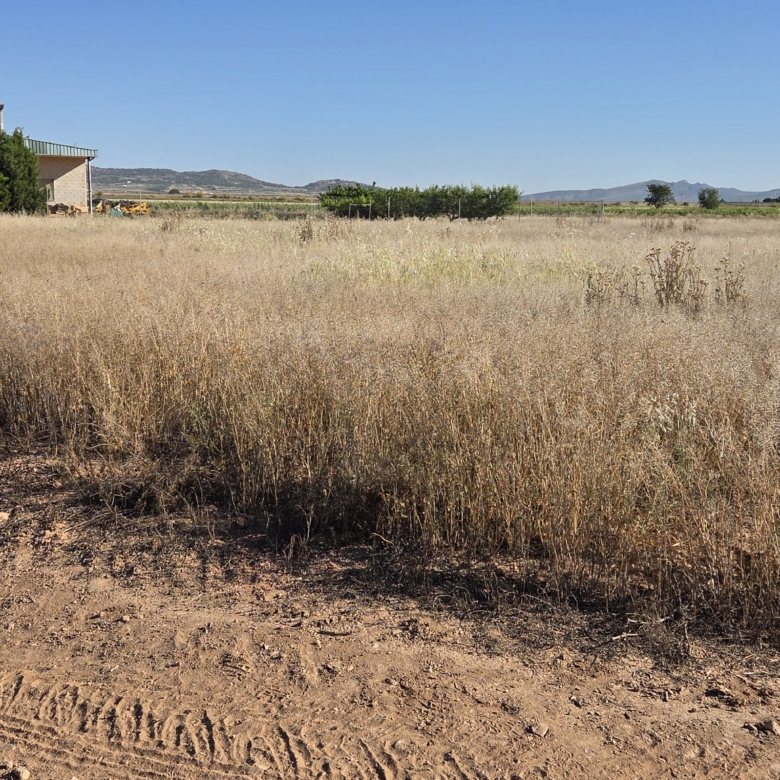 Landelijk vastgoed met loodsen op een groot grondstuk in Yecla, Murcia