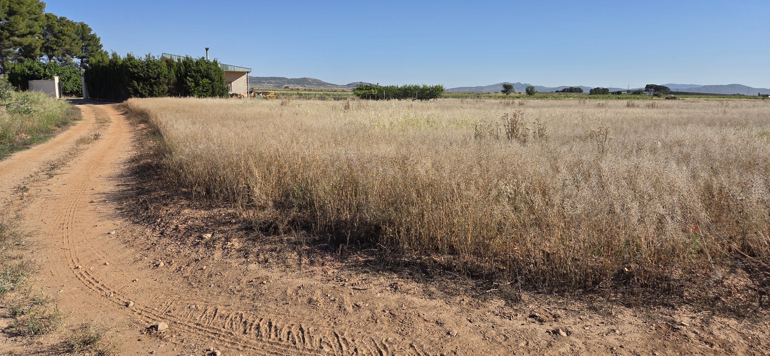 Landelijk vastgoed met loodsen op een groot grondstuk in Yecla, Murcia
