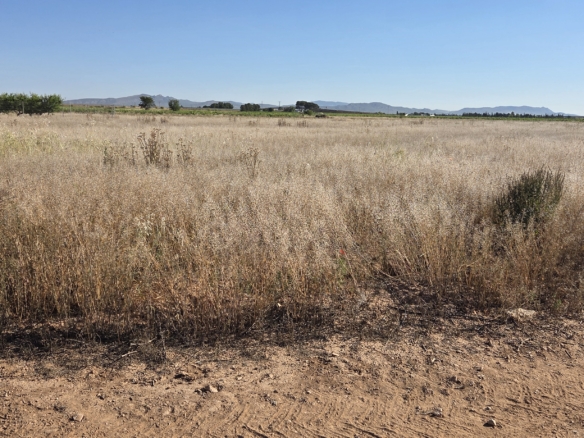 Landelijk vastgoed met loodsen op een groot grondstuk in Yecla, Murcia
