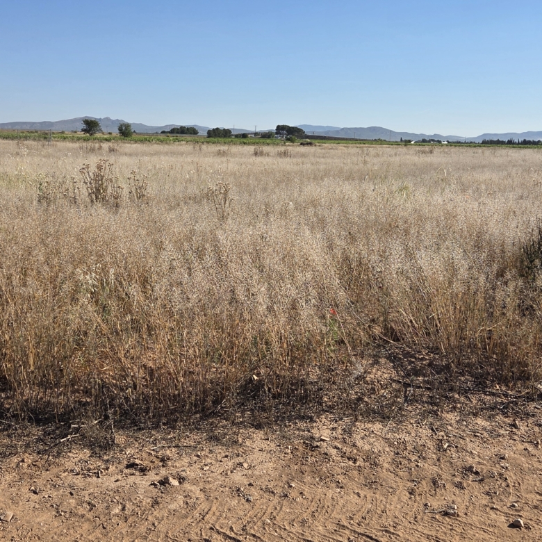 Landelijk vastgoed met loodsen op een groot grondstuk in Yecla, Murcia