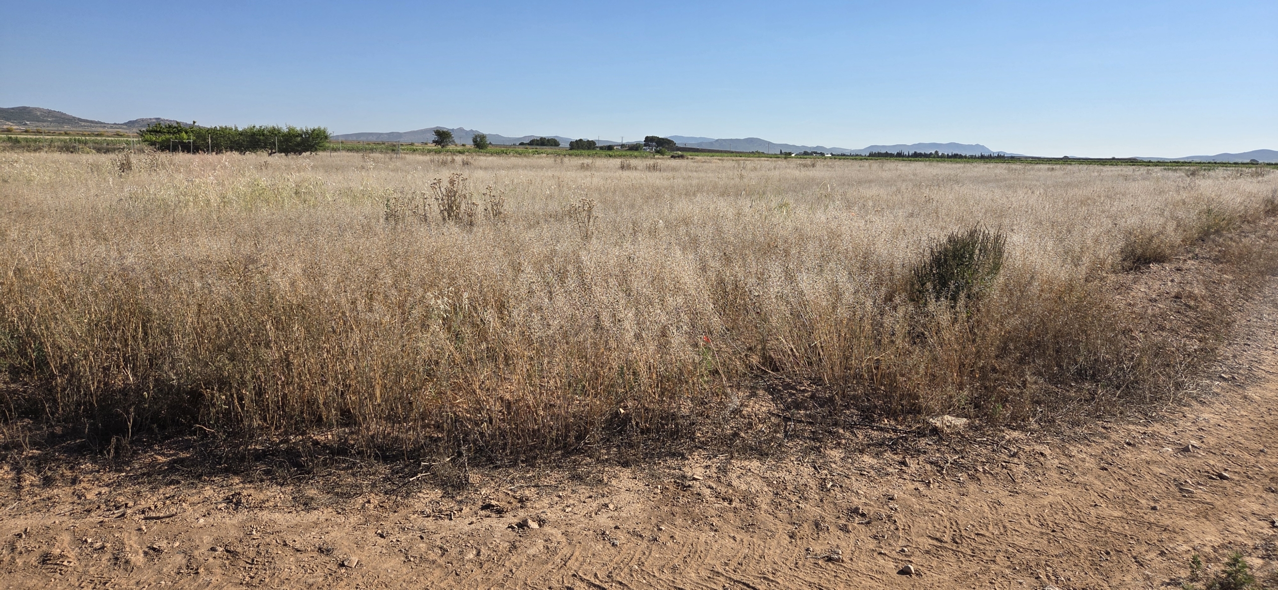 Landelijk vastgoed met loodsen op een groot grondstuk in Yecla, Murcia