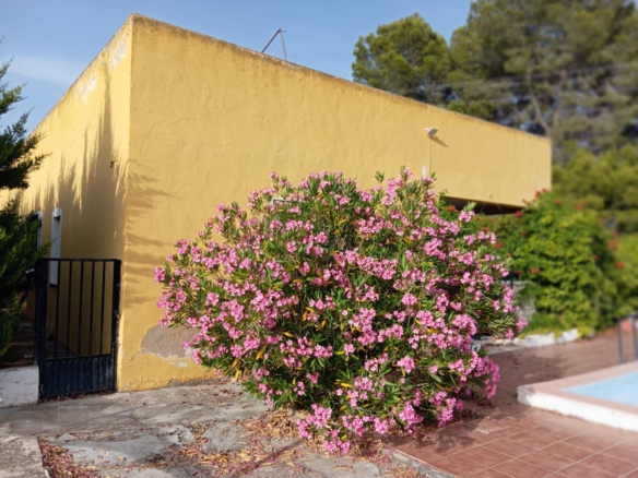 Charmant landhuis in Yecla