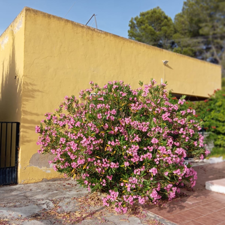 Charmant landhuis in Yecla
