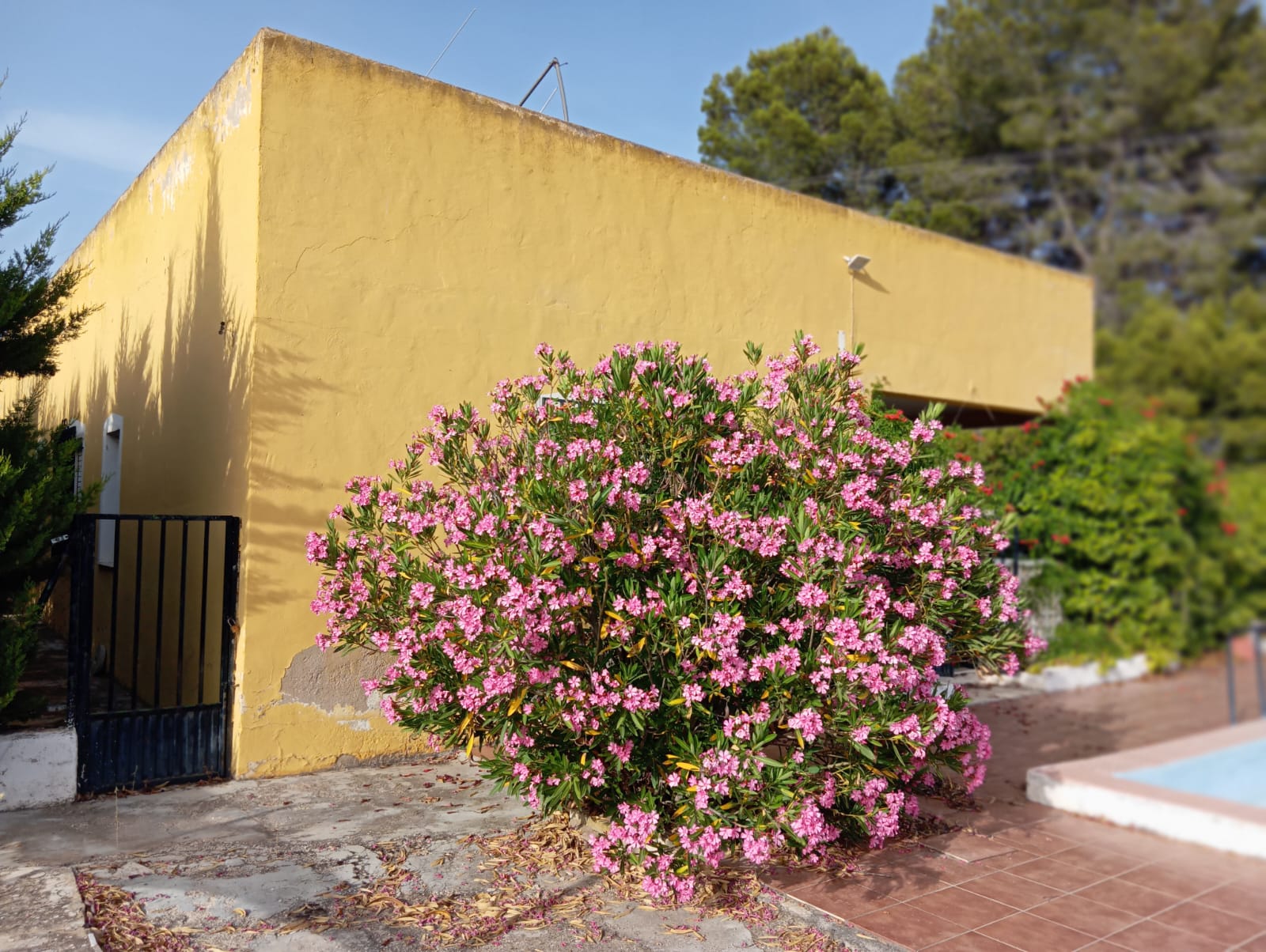 Charmant landhuis in Yecla