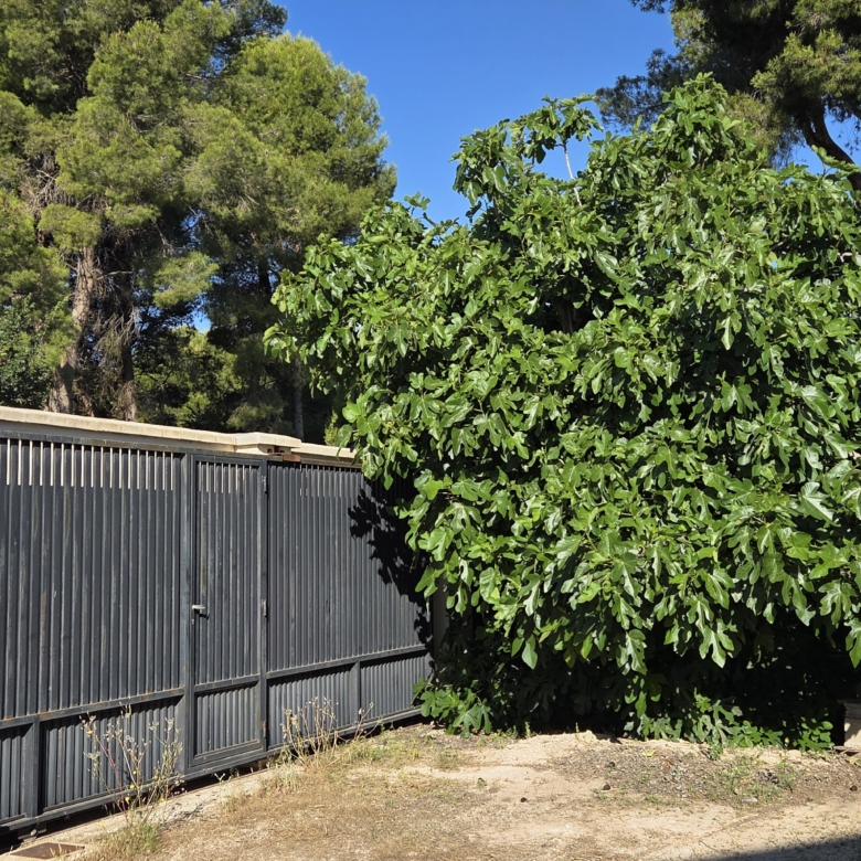Landelijk vastgoed met loodsen op een groot grondstuk in Yecla, Murcia