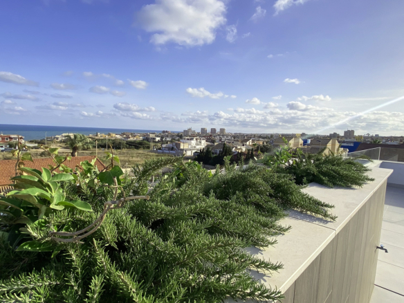 Luxurious Property in Torre La Mata (Ref: DOSI-1434)
