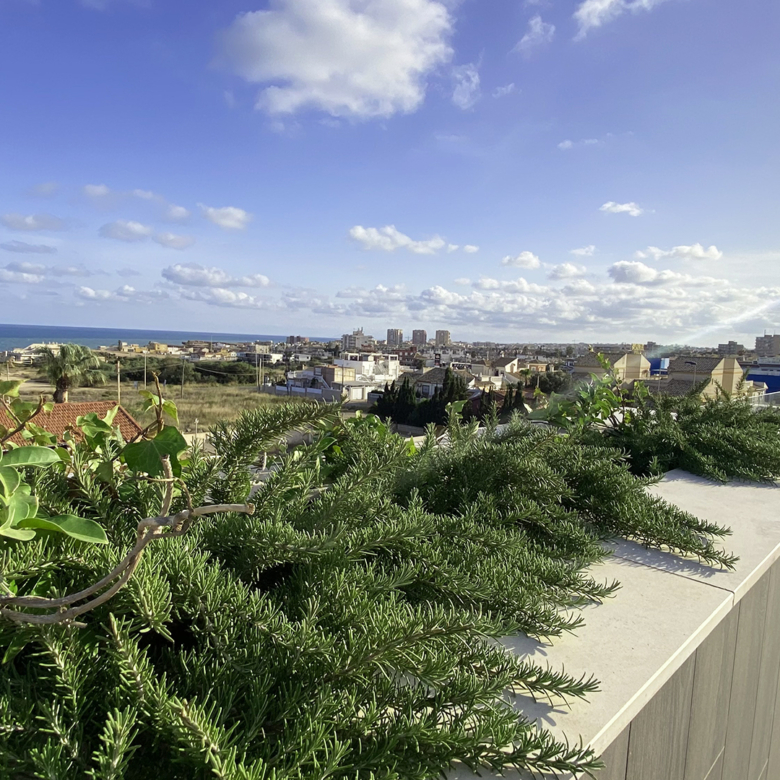 Luxurious Property in Torre La Mata (Ref: DOSI-1434)