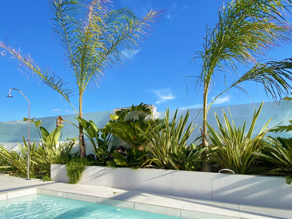 Luxurious Property in Torre La Mata (Ref: DOSI-1434)
