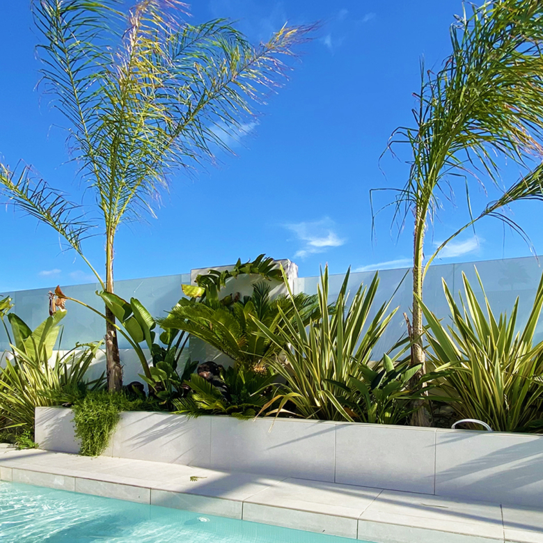 Luxurious Property in Torre La Mata (Ref: DOSI-1434)