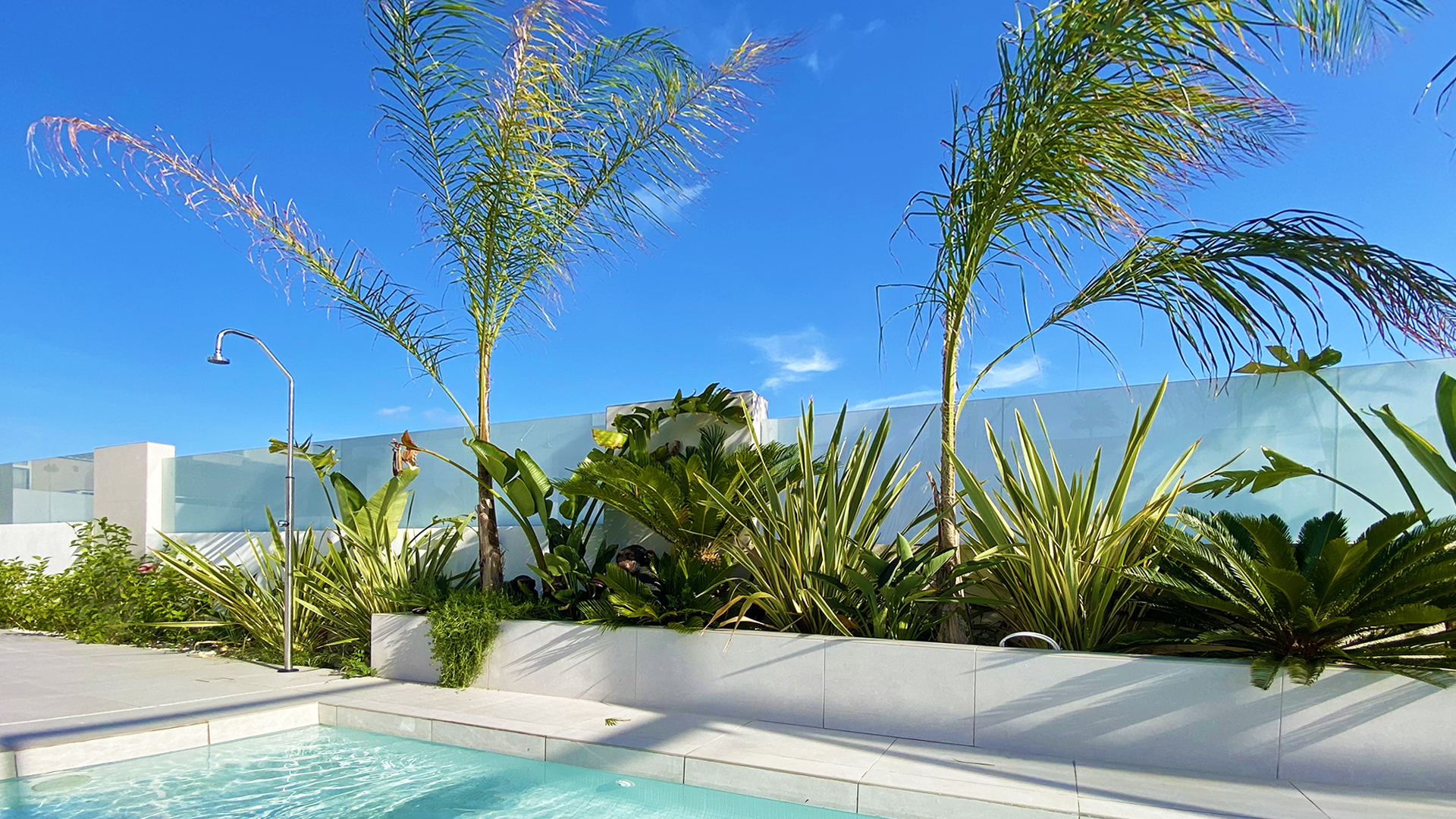 Luxurious Property in Torre La Mata (Ref: DOSI-1434)