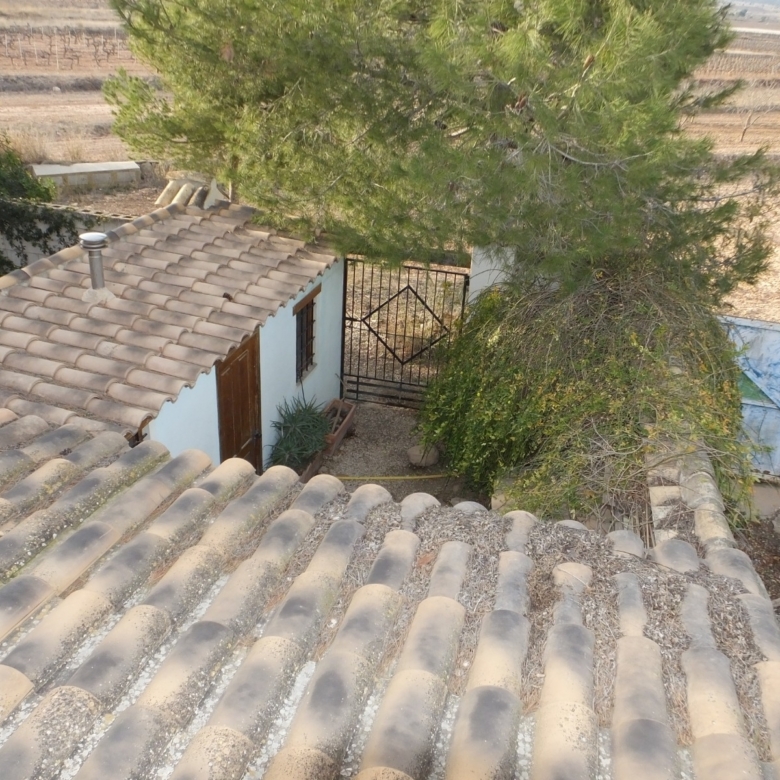 Country House in Pinoso (Ref: MP5197)