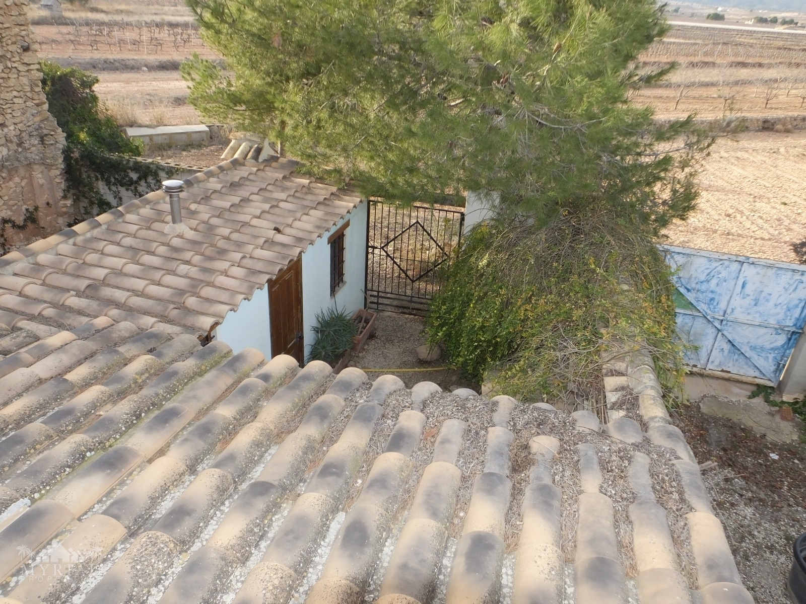 Country House in Pinoso (Ref: MP5197)