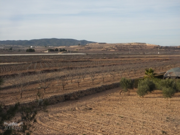 Country House in Pinoso (Ref: MP5197)