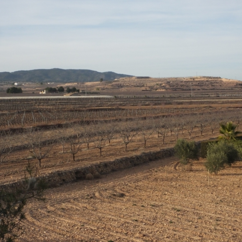 Country House in Pinoso (Ref: MP5197)