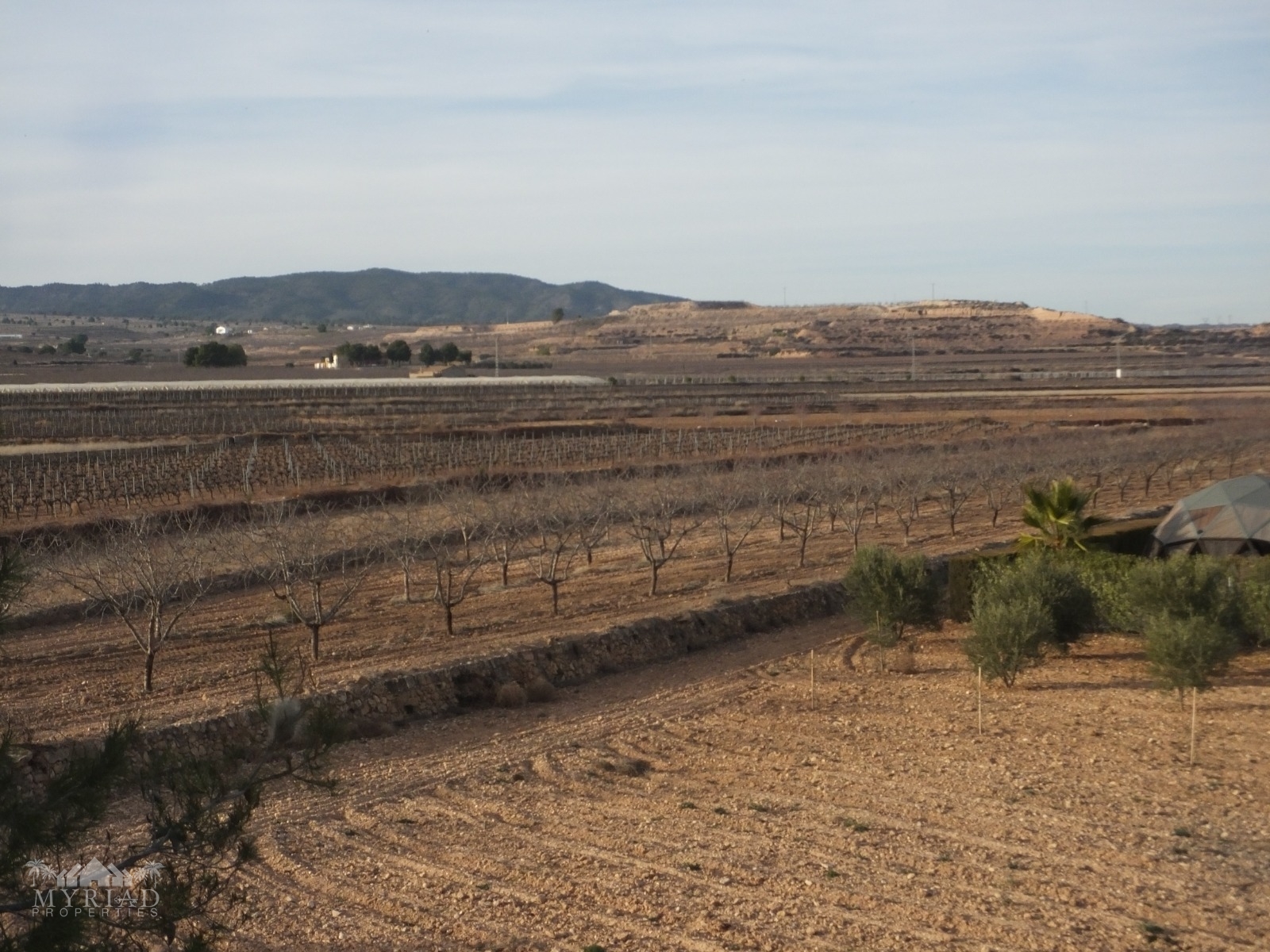 Country House in Pinoso (Ref: MP5197)