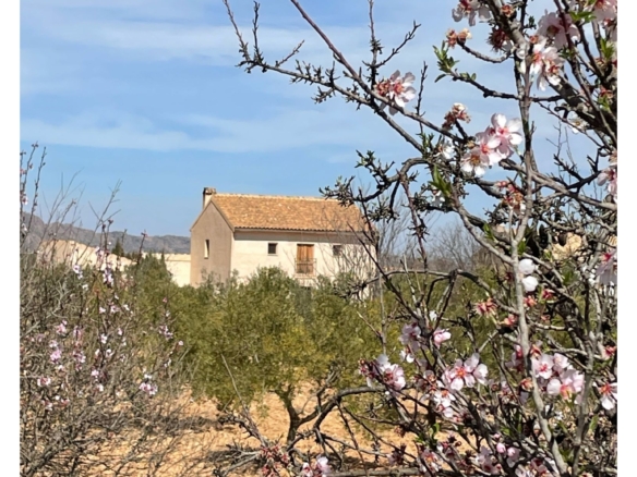 Country House in Raspay (Ref: MP5931)