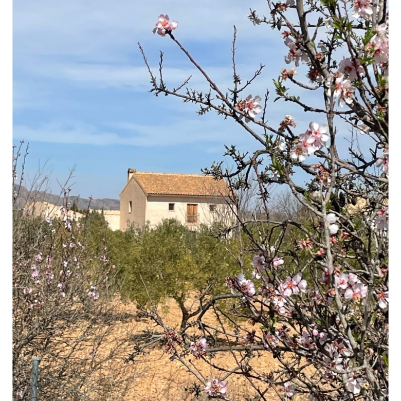 Country House in Raspay (Ref: MP5931)