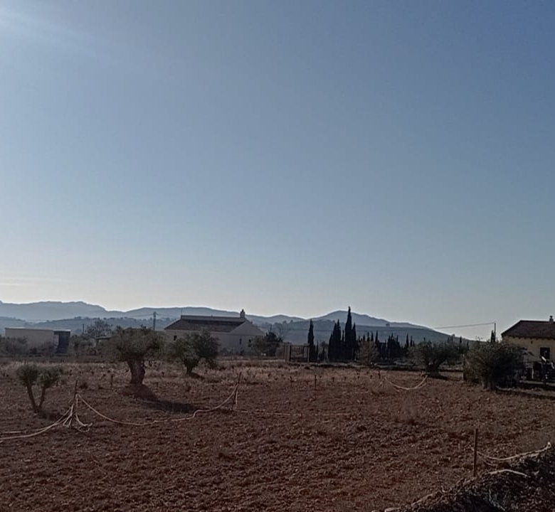 Country House in Pinoso (Ref: MP6034)