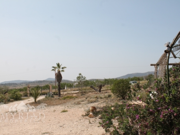 Country House in Pinoso (Ref: MP6034)