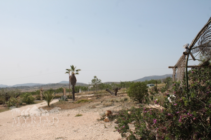 Country House in Pinoso (Ref: MP6034)
