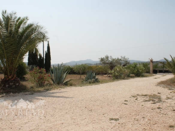 Country House in Pinoso (Ref: MP6034)