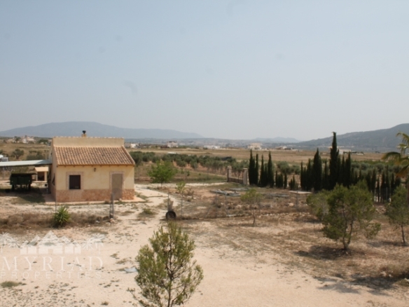 Country House in Pinoso (Ref: MP6034)