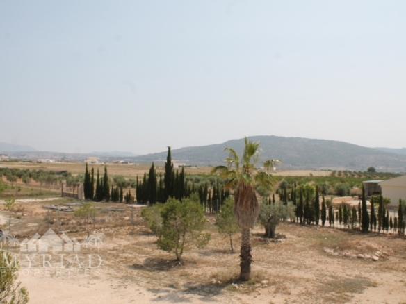 Country House in Pinoso (Ref: MP6034)