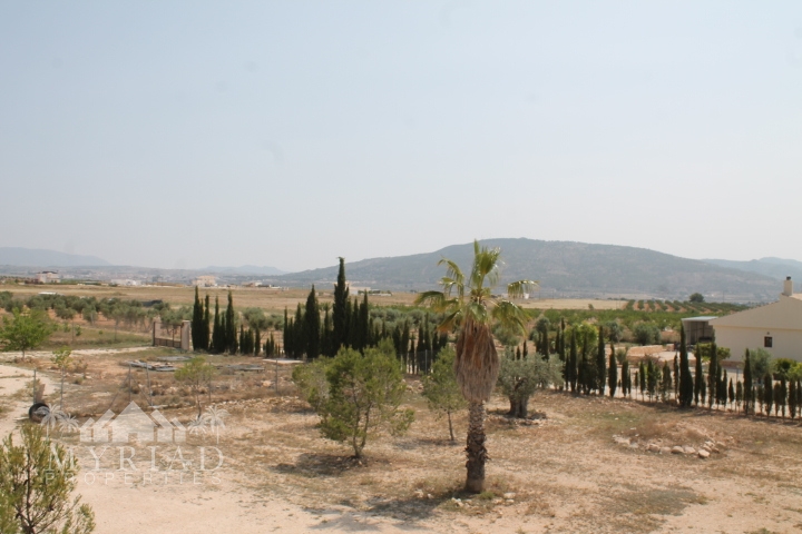 Country House in Pinoso (Ref: MP6034)