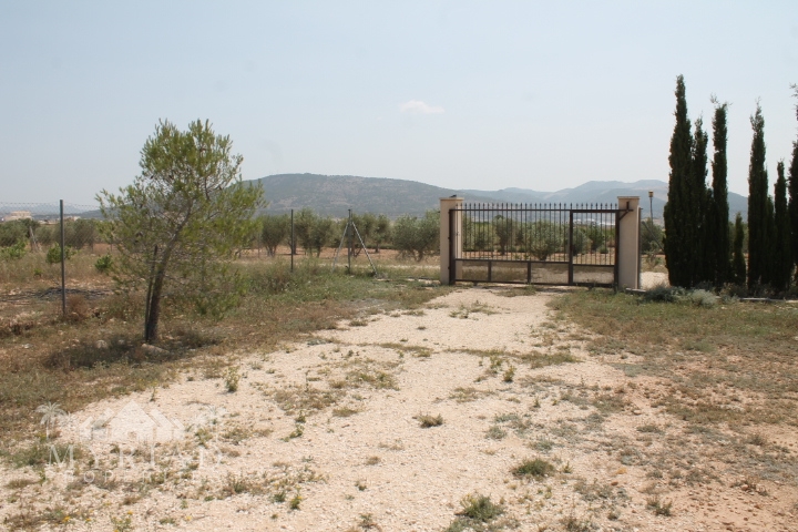 Country House in Pinoso (Ref: MP6034)