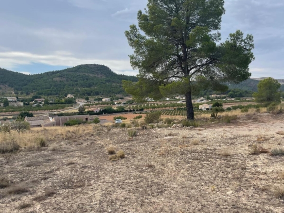 Land in Pinoso (Ref: MP6165)