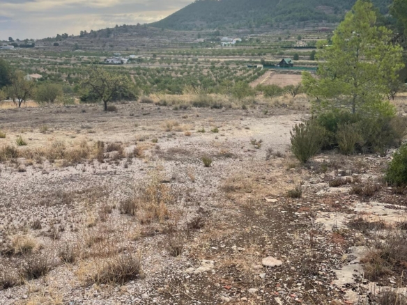 Land in Pinoso (Ref: MP6165)