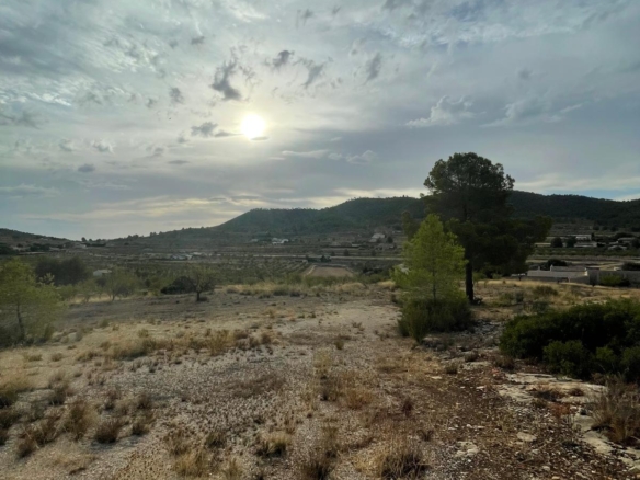 Land in Pinoso (Ref: MP6165)